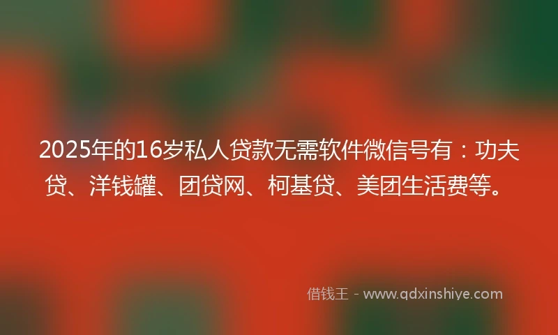 2025年的16岁私人贷款无需软件微信号有：功夫贷、洋钱罐、团贷网、柯基贷、美团生活费等。