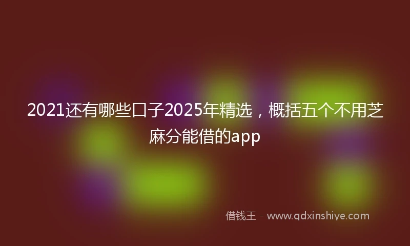 2021还有哪些口子2025年精选，概括五个不用芝麻分能借的app