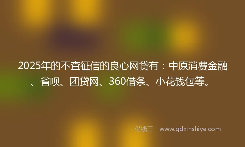 2025年的不查征信的良心网贷有：中原消费金融、省呗、团贷网、360借条、小花钱包等。