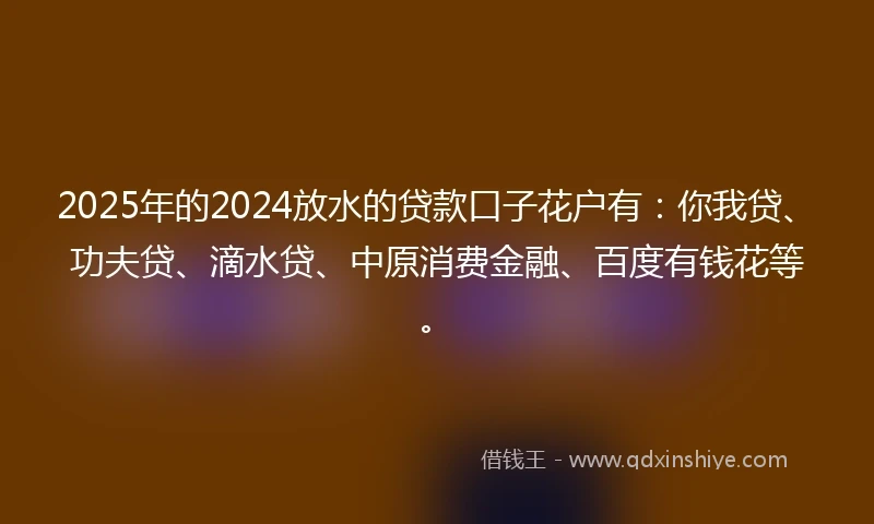 2025年的2024放水的贷款口子花户有：你我贷、功夫贷、滴水贷、中原消费金融、百度有钱花等。