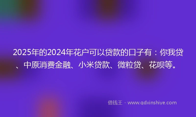 2025年的2024年花户可以贷款的口子有：你我贷、中原消费金融、小米贷款、微粒贷、花呗等。