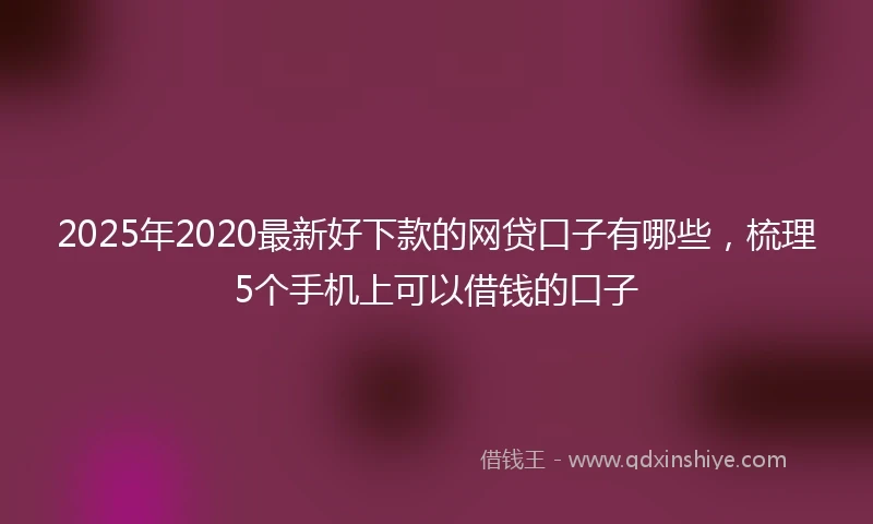 2025年2020最新好下款的网贷口子有哪些，梳理5个手机上可以借钱的口子
