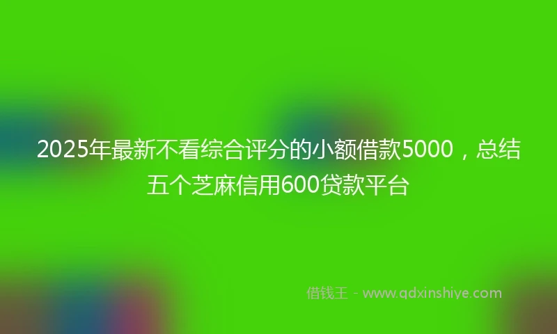 2025年最新不看综合评分的小额借款5000，总结五个芝麻信用600贷款平台