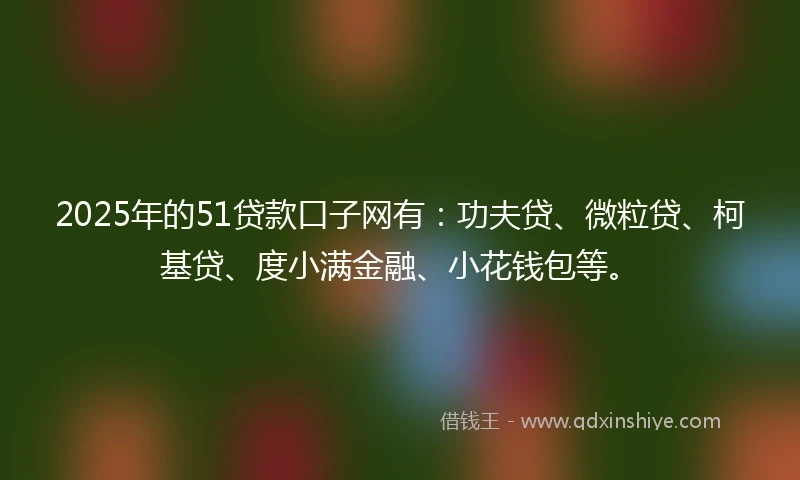 2025年的51贷款口子网有：功夫贷、微粒贷、柯基贷、度小满金融、小花钱包等。