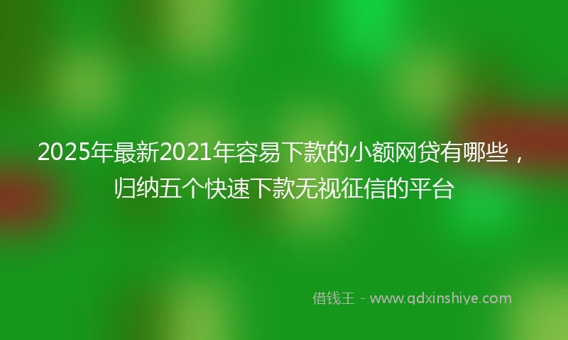 2025年最新2021年容易下款的小额网贷有哪些，归纳五个快速下款无视征信的平台