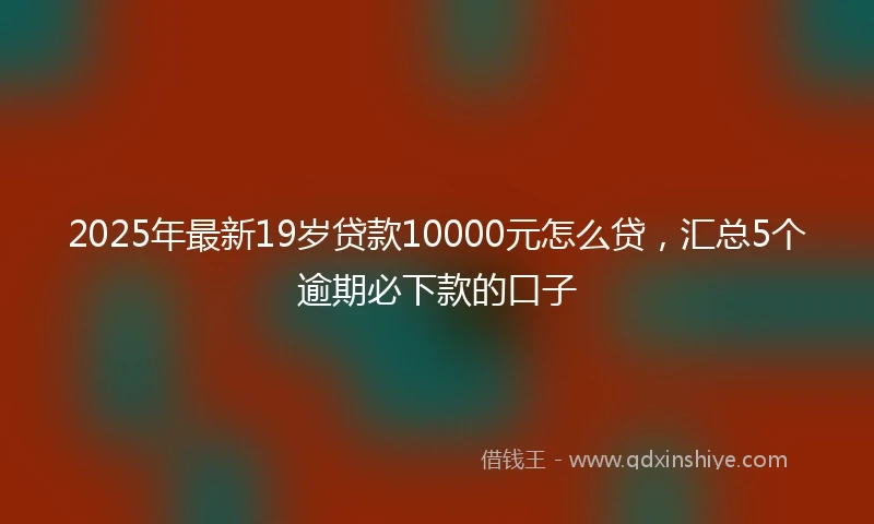 2025年最新19岁贷款10000元怎么贷，汇总5个逾期必下款的口子