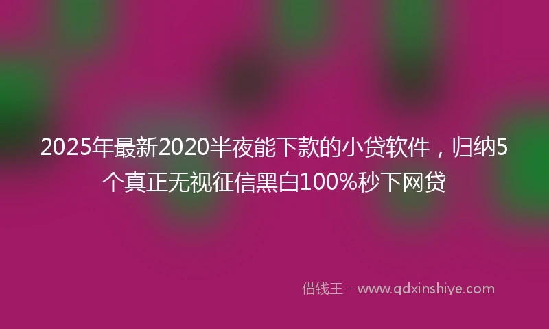 2025年最新2020半夜能下款的小贷软件，归纳5个真正无视征信黑白100%秒下网贷