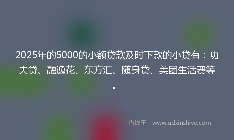 2025年的5000的小额贷款及时下款的小贷有：功夫贷、融逸花、东方汇、随身贷、美团生活费等。