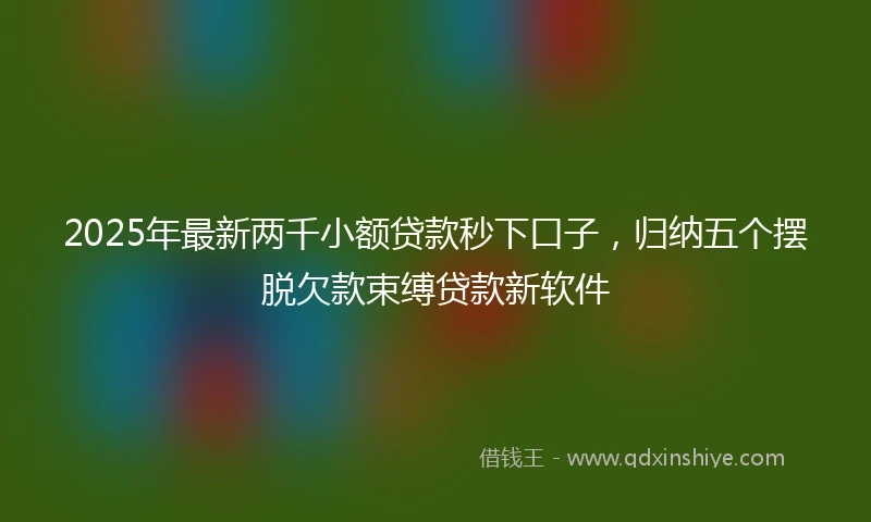 2025年最新两千小额贷款秒下口子，归纳五个摆脱欠款束缚贷款新软件