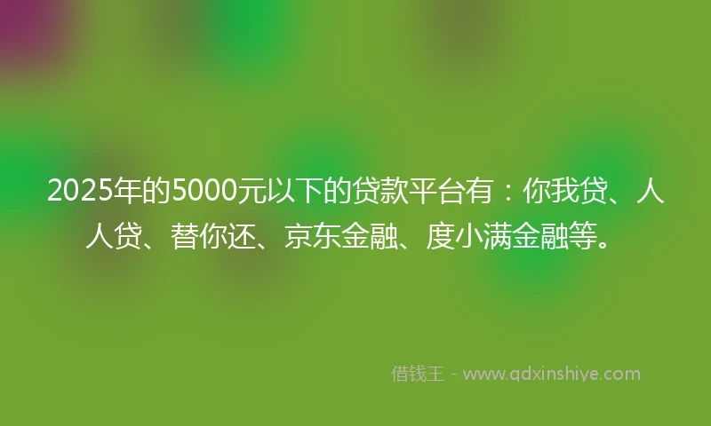 2025年的5000元以下的贷款平台有：你我贷、人人贷、替你还、京东金融、度小满金融等。