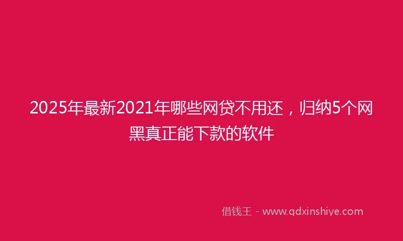 2025年最新2021年哪些网贷不用还,归纳5个网黑真正能下款的软件