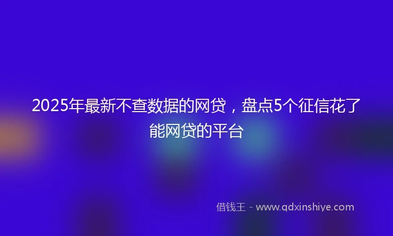 2025年最新不查数据的网贷，盘点5个征信花了能网贷的平台