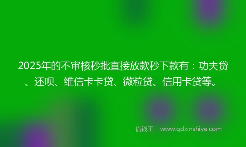 2025年的不审核秒批直接放款秒下款有：功夫贷、还呗、维信卡卡贷、微粒贷、信用卡贷等。