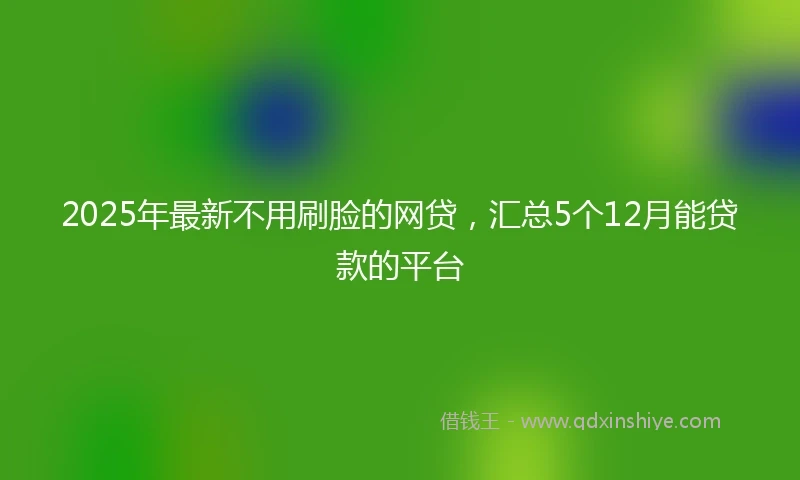 2025年最新不用刷脸的网贷，汇总5个12月能贷款的平台