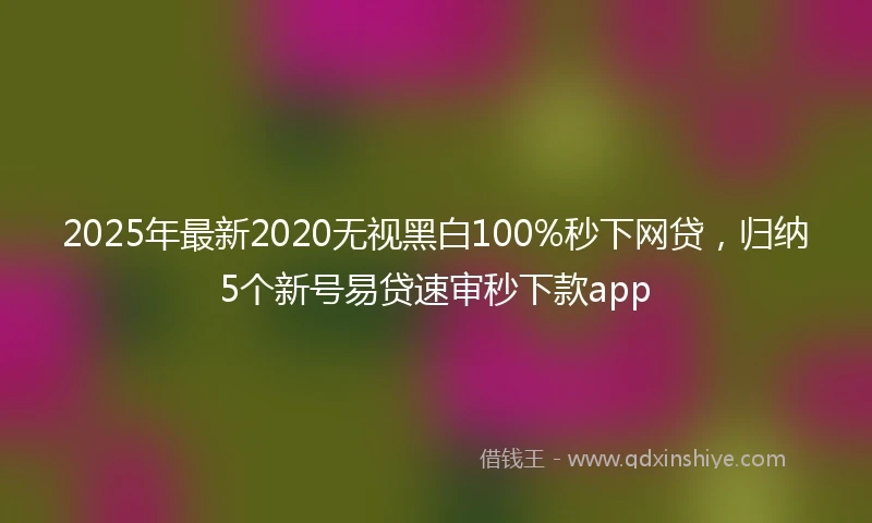2025年最新2020无视黑白100%秒下网贷，归纳5个新号易贷速审秒下款app