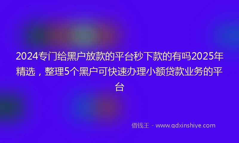 2024专门给黑户放款的平台秒下款的有吗2025年精选，整理5个黑户可快速办理小额贷款业务的平台