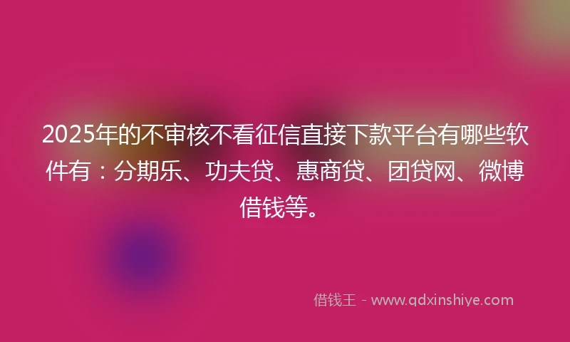 2025年的不审核不看征信直接下款平台有哪些软件有：分期乐、功夫贷、惠商贷、团贷网、微博借钱等。