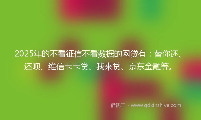 2025年的不看征信不看数据的网贷有：替你还、还呗、维信卡卡贷、我来贷、京东金融等。