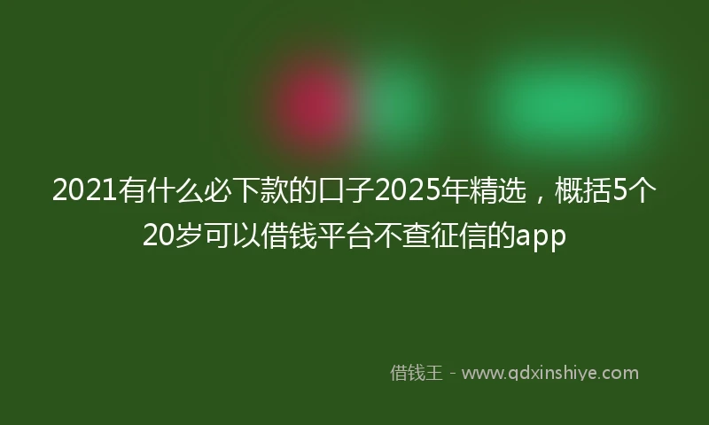 2021有什么必下款的口子2025年精选，概括5个20岁可以借钱平台不查征信的app