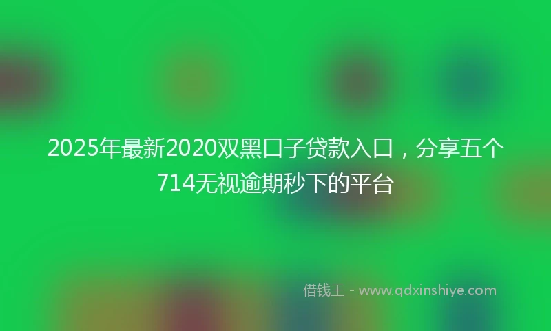 2025年最新2020双黑口子贷款入口，分享五个714无视逾期秒下的平台