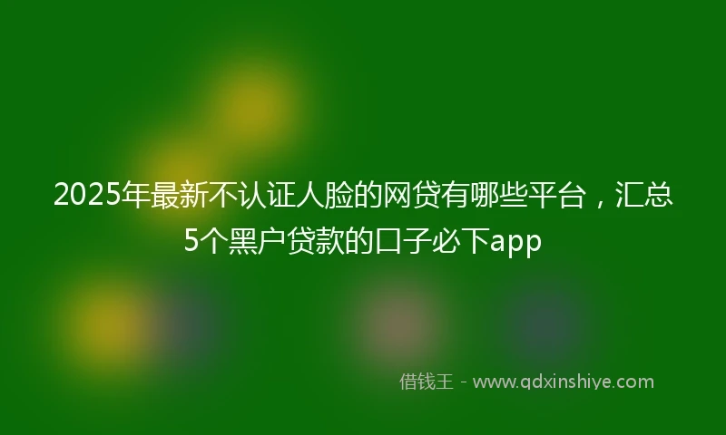 2025年最新不认证人脸的网贷有哪些平台，汇总5个黑户贷款的口子必下app