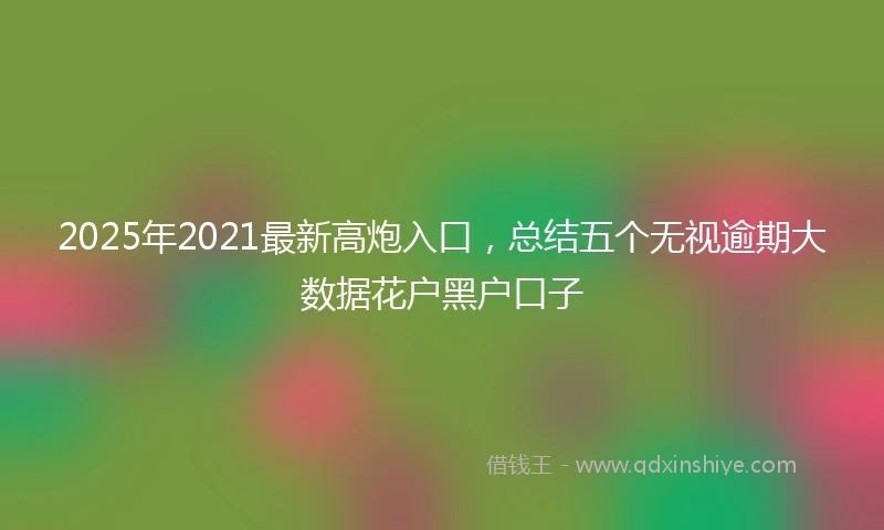 2025年2021最新高炮入口，总结五个无视逾期大数据花户黑户口子