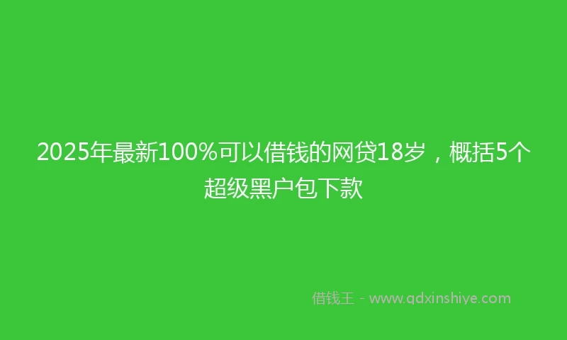 2025年最新100%可以借钱的网贷18岁，概括5个超级黑户包下款