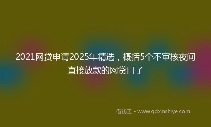 2021网贷申请2025年精选，概括5个不审核夜间直接放款的网贷口子