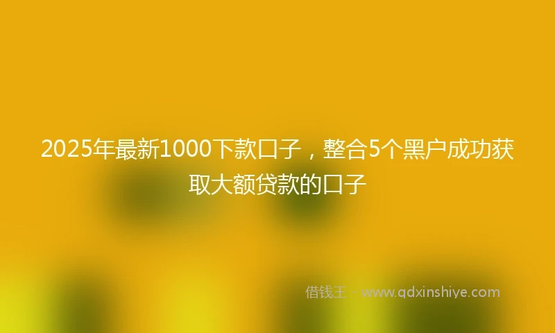 2025年最新1000下款口子，整合5个黑户成功获取大额贷款的口子