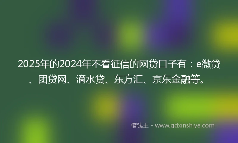 2025年的2024年不看征信的网贷口子有：e微贷、团贷网、滴水贷、东方汇、京东金融等。