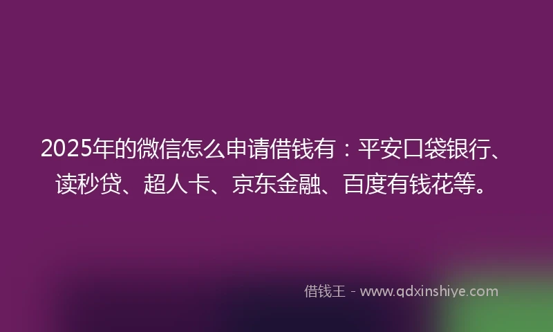 2025年的微信怎么申请借钱有：平安口袋银行、读秒贷、超人卡、京东金融、百度有钱花等。