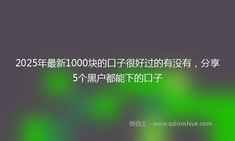 2025年最新1000块的口子很好过的有没有，分享5个黑户都能下的口子