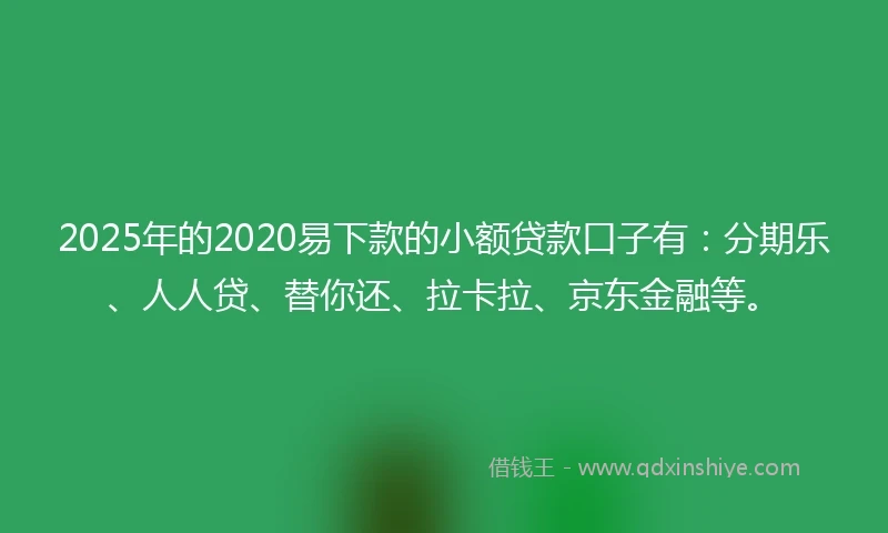 2025年的2020易下款的小额贷款口子有：分期乐、人人贷、替你还、拉卡拉、京东金融等。