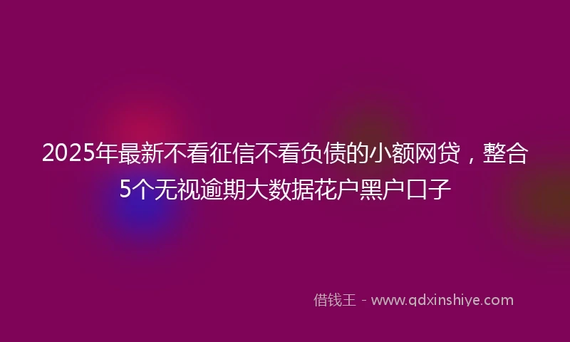 2025年最新不看征信不看负债的小额网贷，整合5个无视逾期大数据花户黑户口子