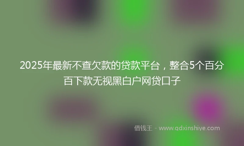 2025年最新不查欠款的贷款平台，整合5个百分百下款无视黑白户网贷口子