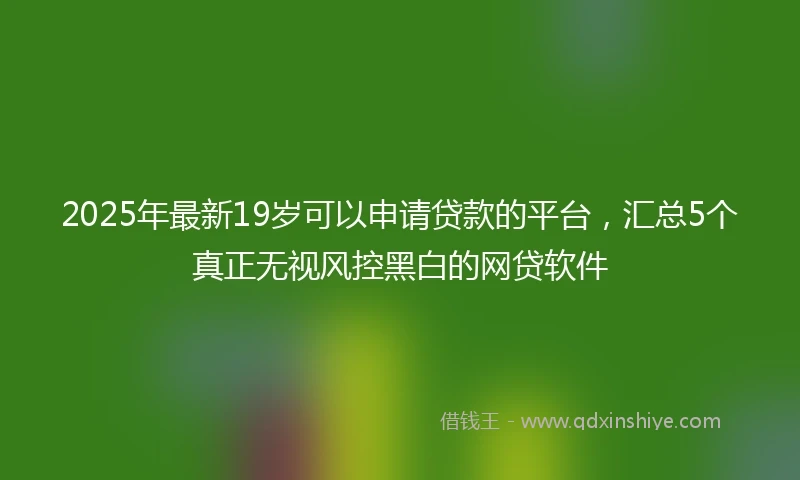 2025年最新19岁可以申请贷款的平台，汇总5个真正无视风控黑白的网贷软件