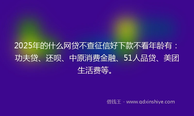 2025年的什么网贷不查征信好下款不看年龄有：功夫贷、还呗、中原消费金融、51人品贷、美团生活费等。