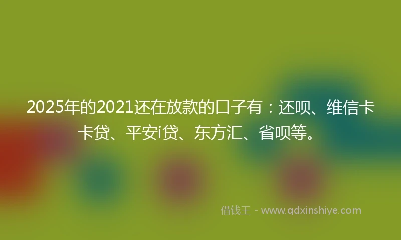 2025年的2021还在放款的口子有：还呗、维信卡卡贷、平安i贷、东方汇、省呗等。