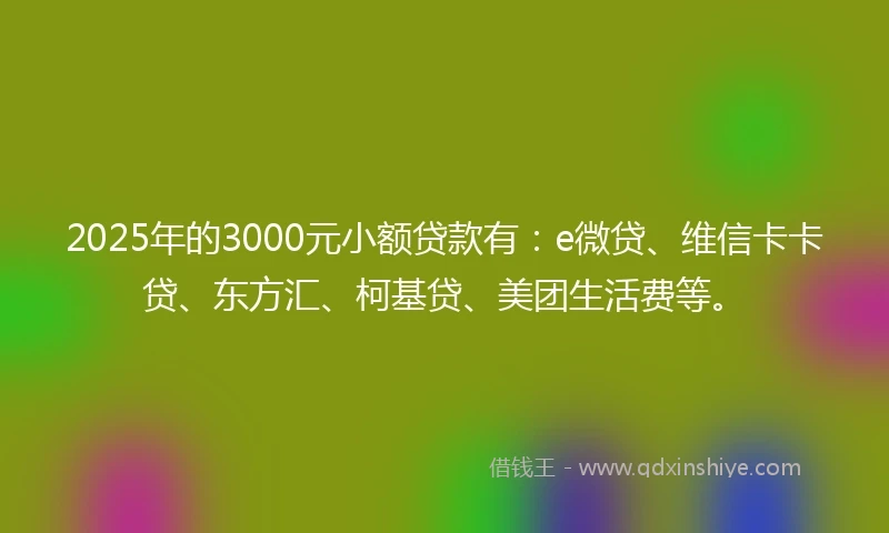 2025年的3000元小额贷款有：e微贷、维信卡卡贷、东方汇、柯基贷、美团生活费等。