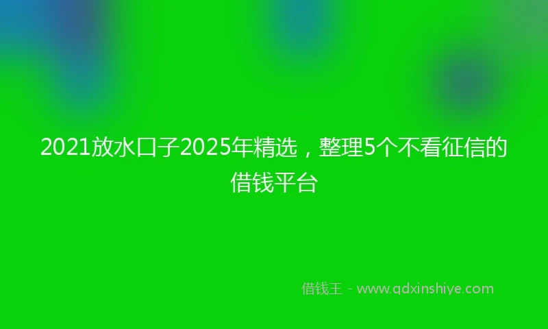 2021放水口子2025年精选，整理5个不看征信的借钱平台
