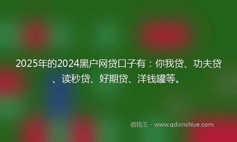 2025年的2024黑户网贷口子有：你我贷、功夫贷、读秒贷、好期贷、洋钱罐等。