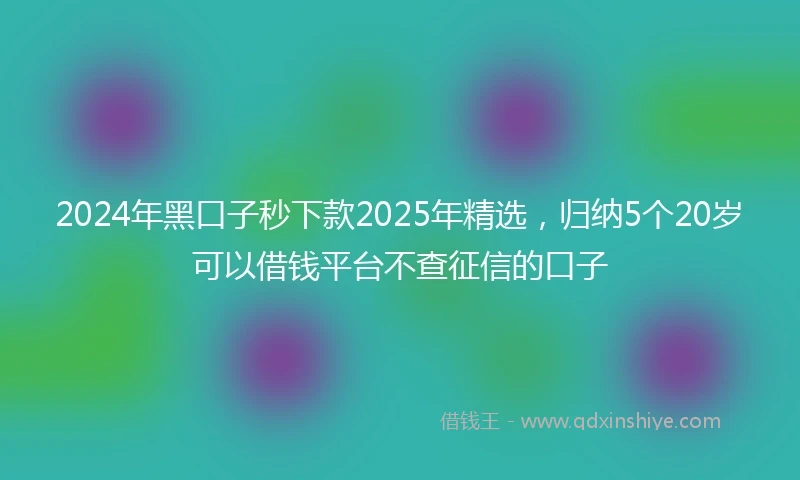 2024年黑口子秒下款2025年精选，归纳5个20岁可以借钱平台不查征信的口子