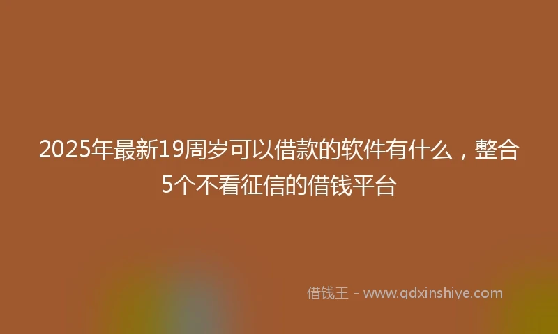 2025年最新19周岁可以借款的软件有什么，整合5个不看征信的借钱平台