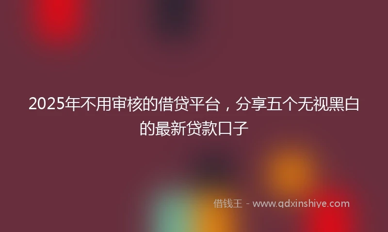 2025年不用审核的借贷平台，分享五个无视黑白的最新贷款口子