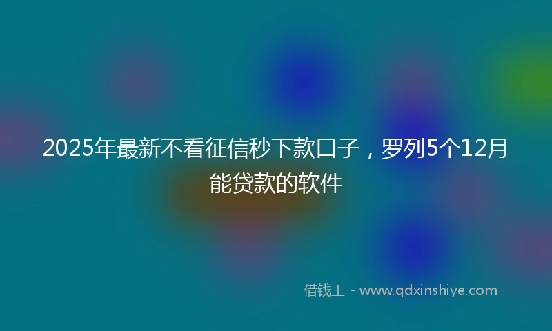 2025年最新不看征信秒下款口子，罗列5个12月能贷款的软件