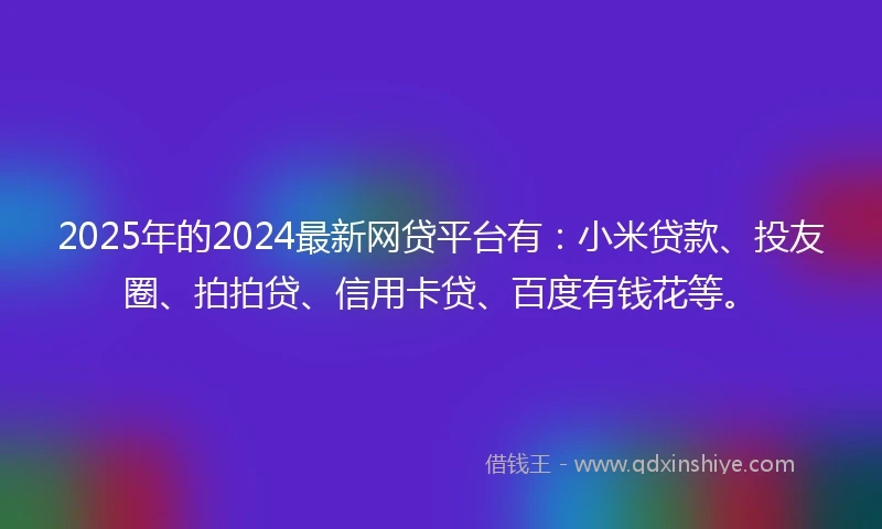 2025年的2024最新网贷平台有：小米贷款、投友圈、拍拍贷、信用卡贷、百度有钱花等。