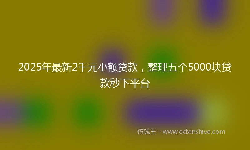 2025年最新2千元小额贷款，整理五个5000块贷款秒下平台