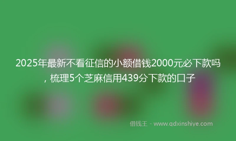 2025年最新不看征信的小额借钱2000元必下款吗，梳理5个芝麻信用439分下款的口子