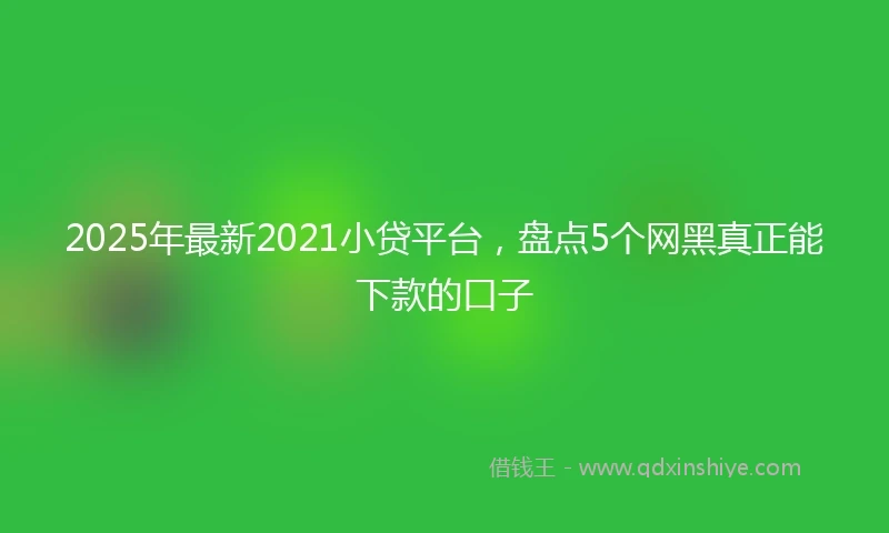 2025年最新2021小贷平台，盘点5个网黑真正能下款的口子