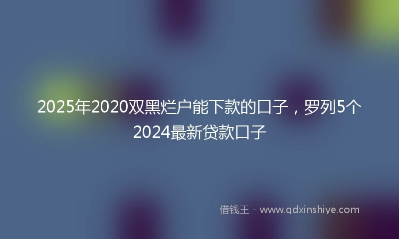 2025年2020双黑烂户能下款的口子，罗列5个2024最新贷款口子